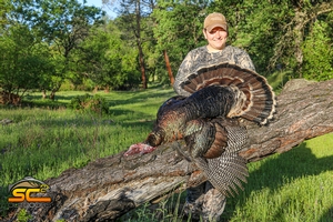 A mid-season Northern California Gobbler take with SC2 Outdoors in 2020